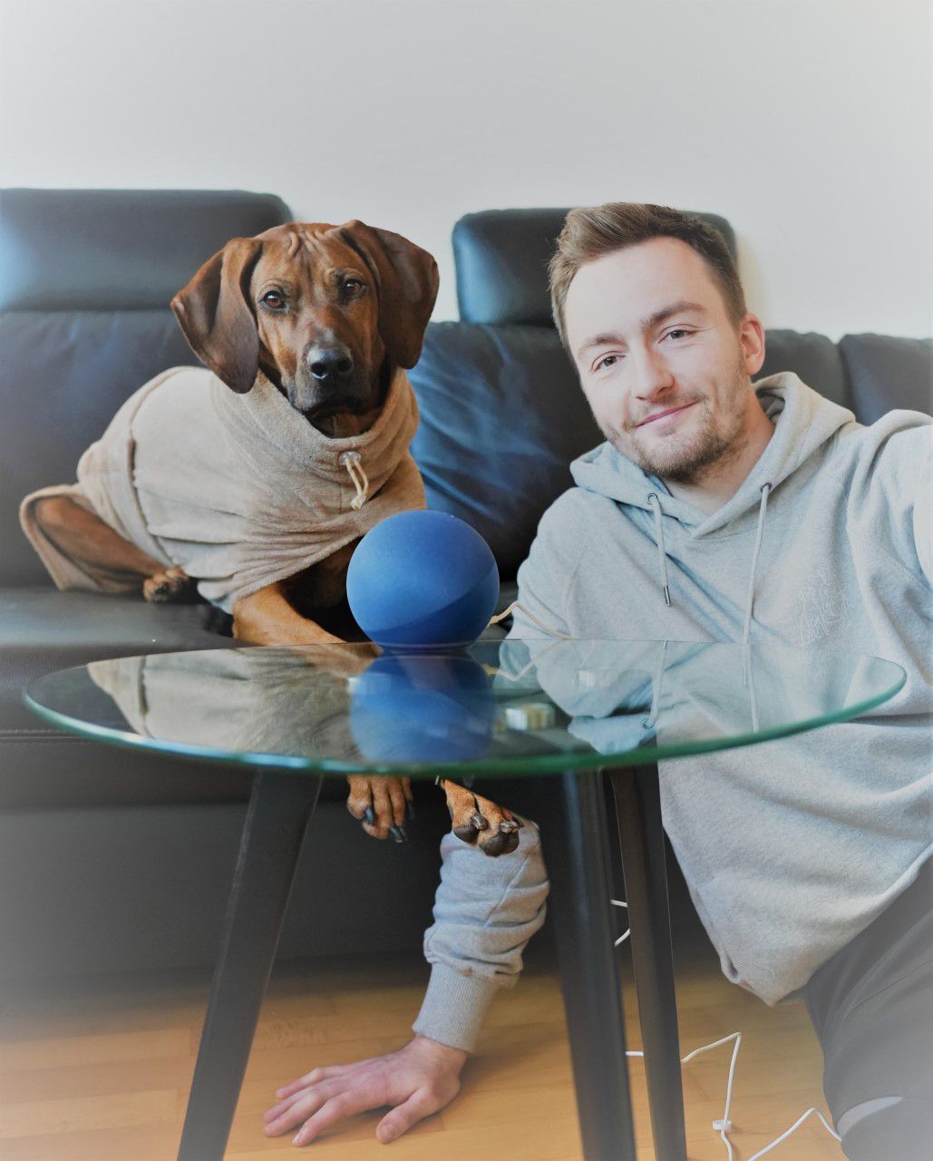 Entspannter Jahreswechsel für Hundebesitzer:innen mit Alexa.