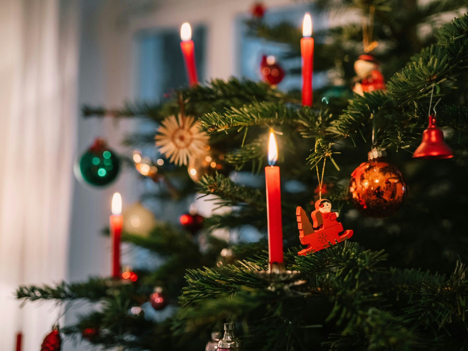 red candles burning on traditional german christmas tree at christmas eve