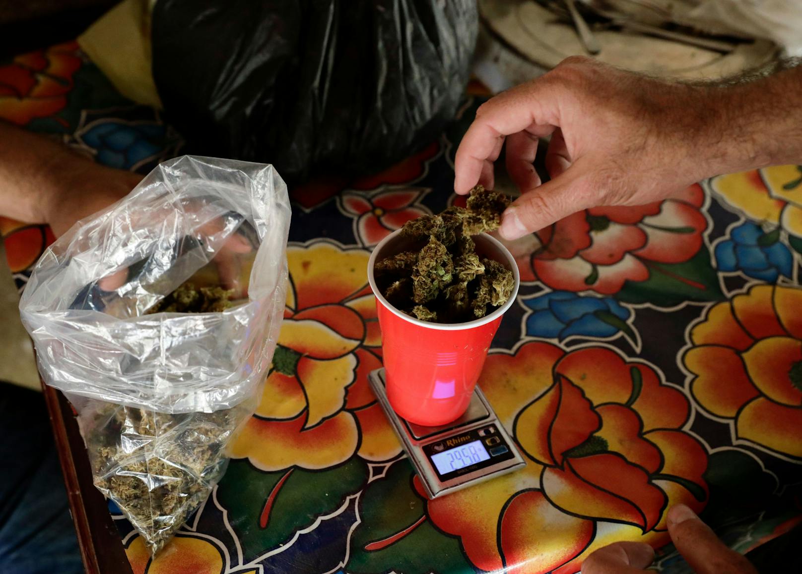 Im Hexenkessel Sinaloa werden nach wie vor Unmengen verschiedener Drogen produziert und in die USA geschmuggelt.