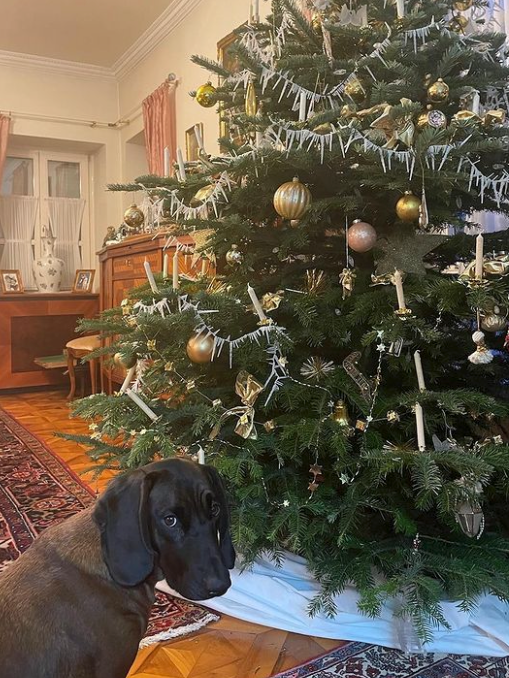 Kanzler Nehammer feiert mit Frau und Hund.