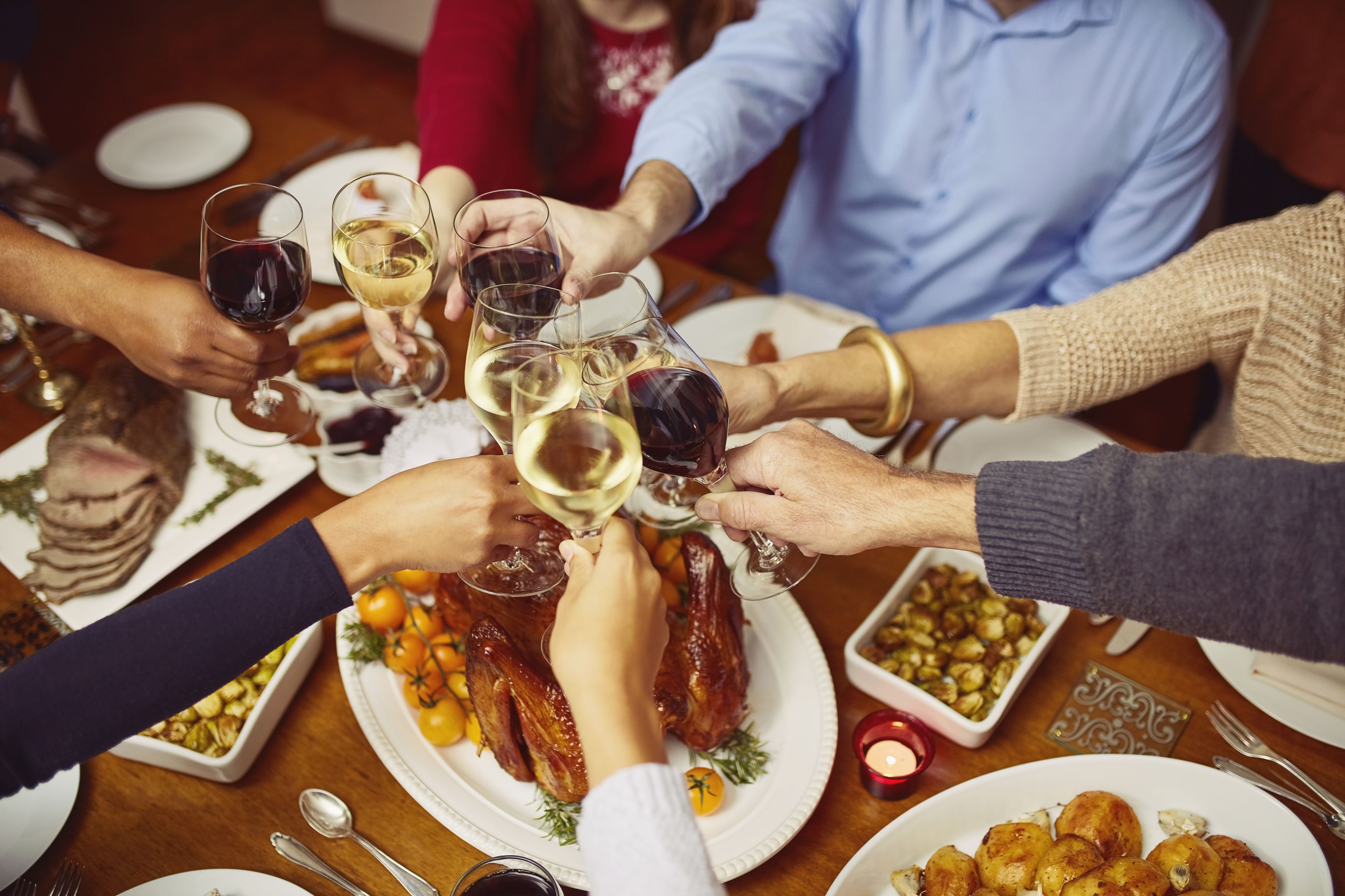 Closeup shot of a group of people making a toast at a dining table