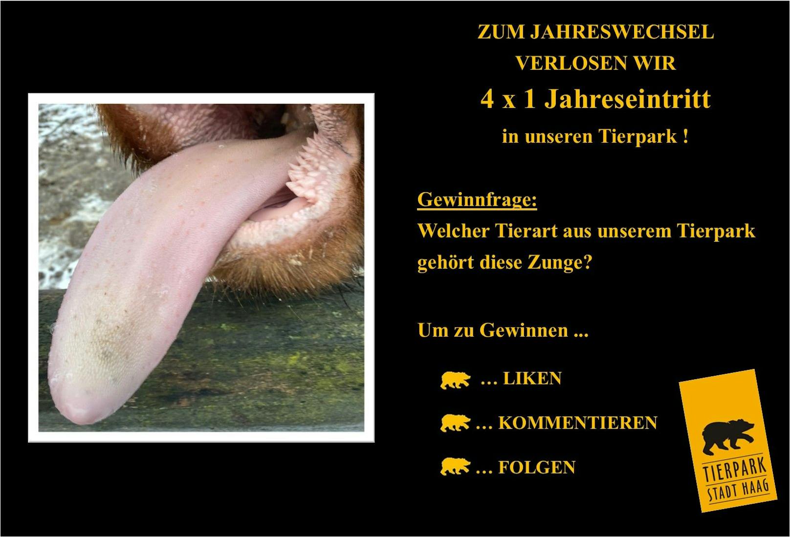 Eine Fake-Seite antwortet Teilnehmern bei dem Gewinnspiel vom Tierpark Haag.