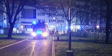 Wiener Polizei jagt jetzt Feuerteufel vom Rennbahnweg