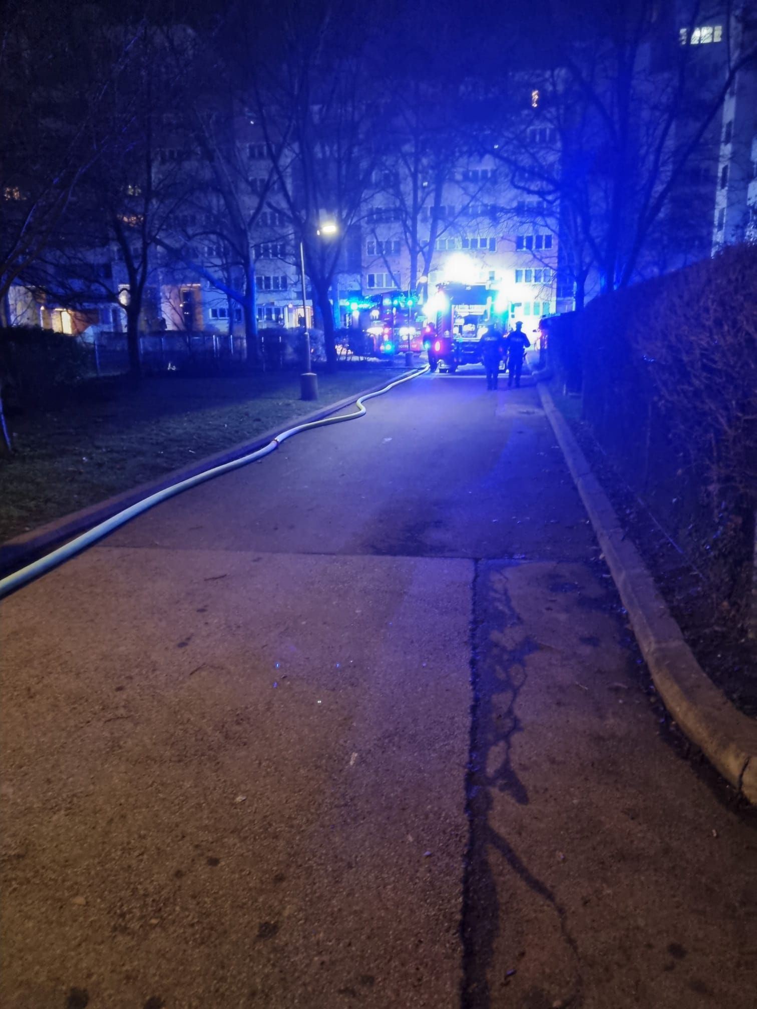 Auch am späten Mittwochabend brachen in der Wiener Donaustadt Feuer aus.