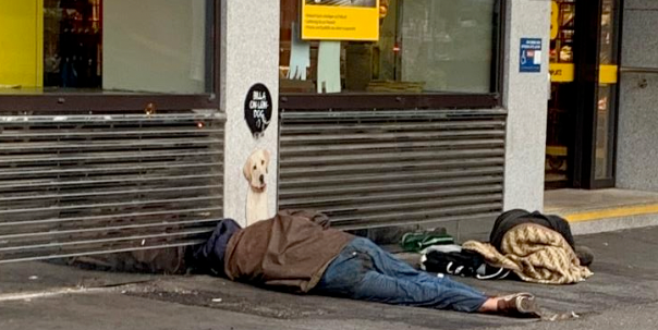 Die Zustände wären nicht mehr tragbar gewesen und seit Jahren habe sich nichts geändert, kritisiert der Hauseigentümer.