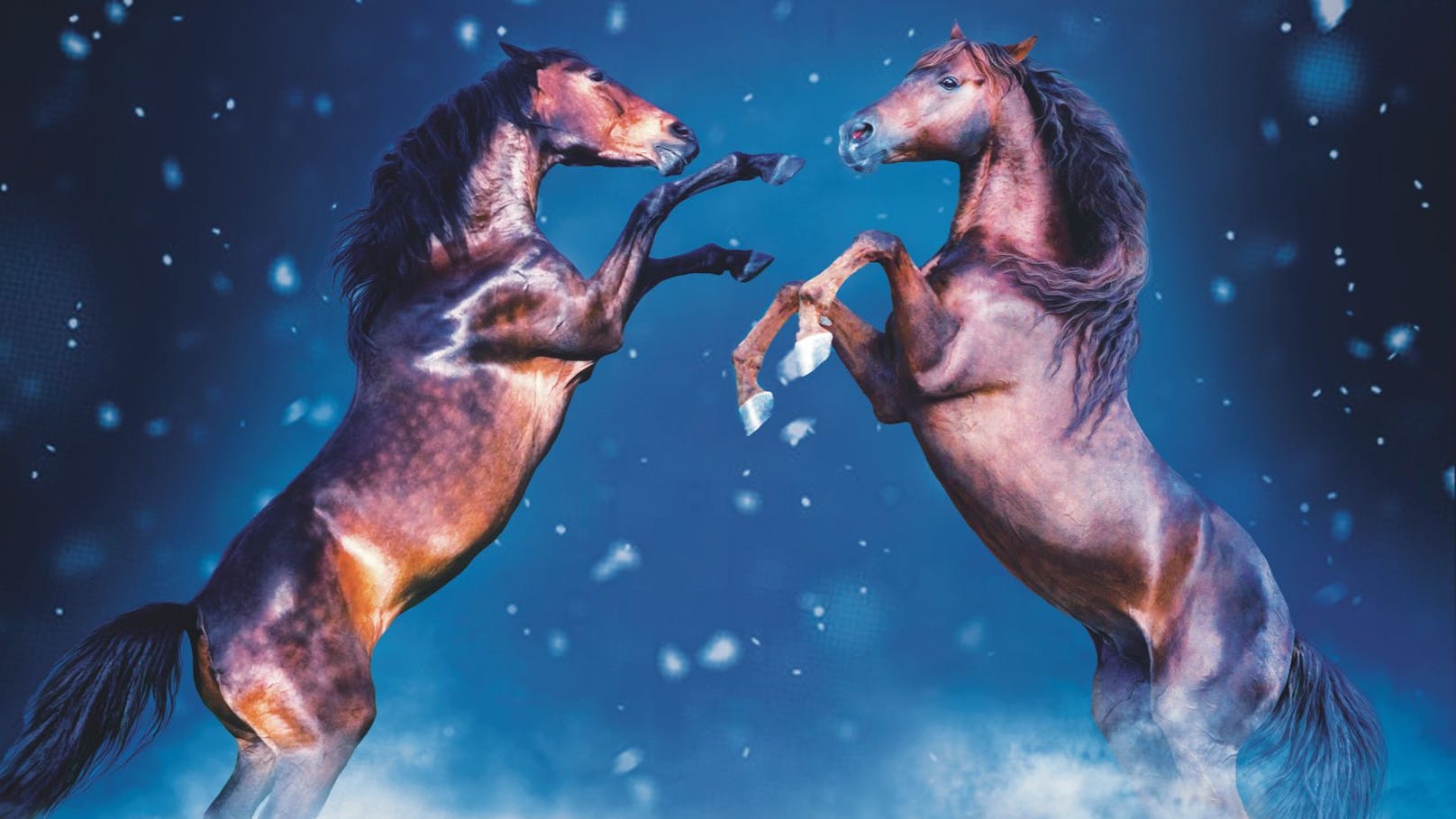 Die große Weihnachtsgala "Grand Cheval" verbindet faszinierende Pferde und Entertainment