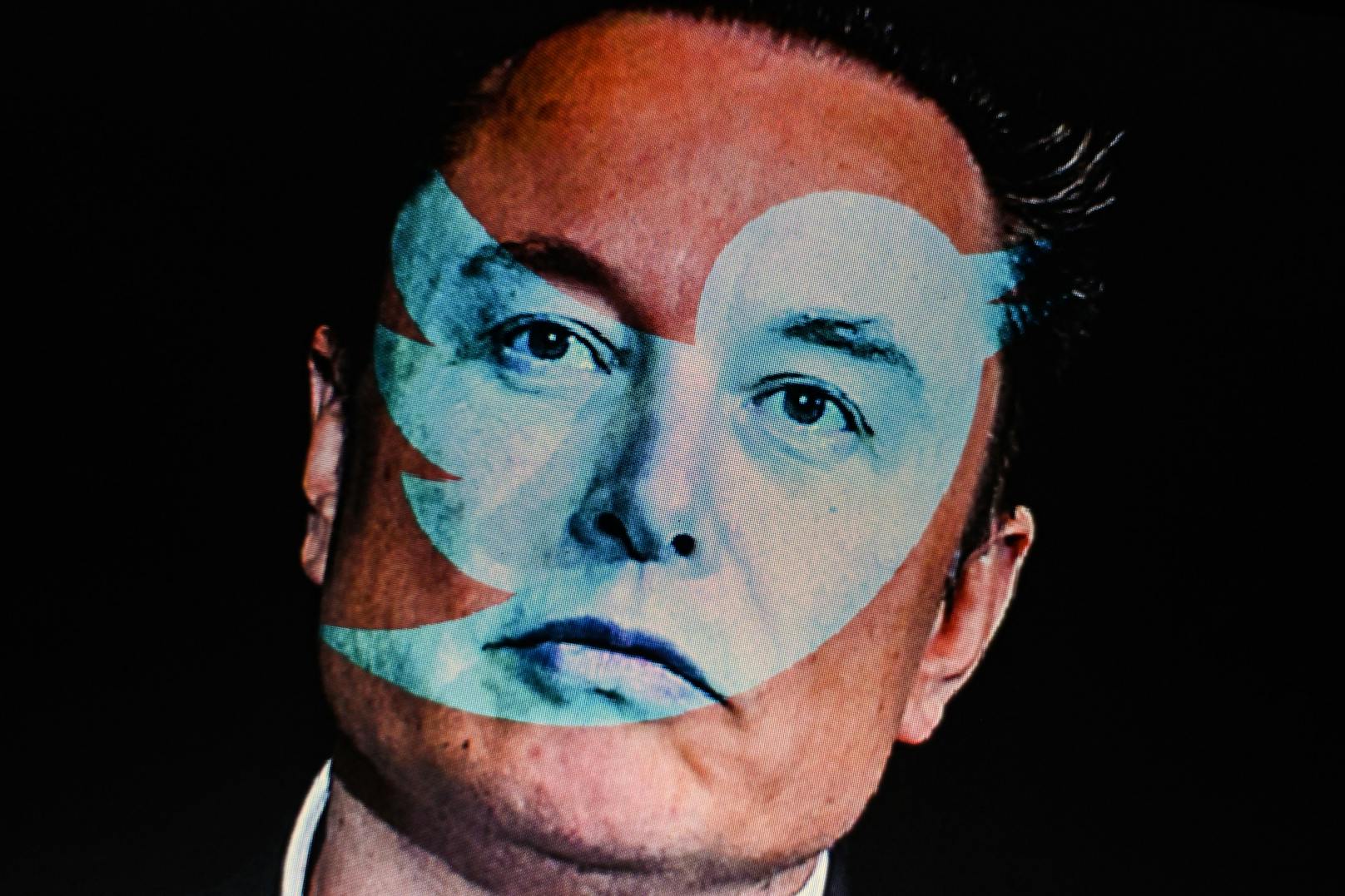 Elon Musks Sparmaßnahmen nehmen kuriose Ausmaße an. 