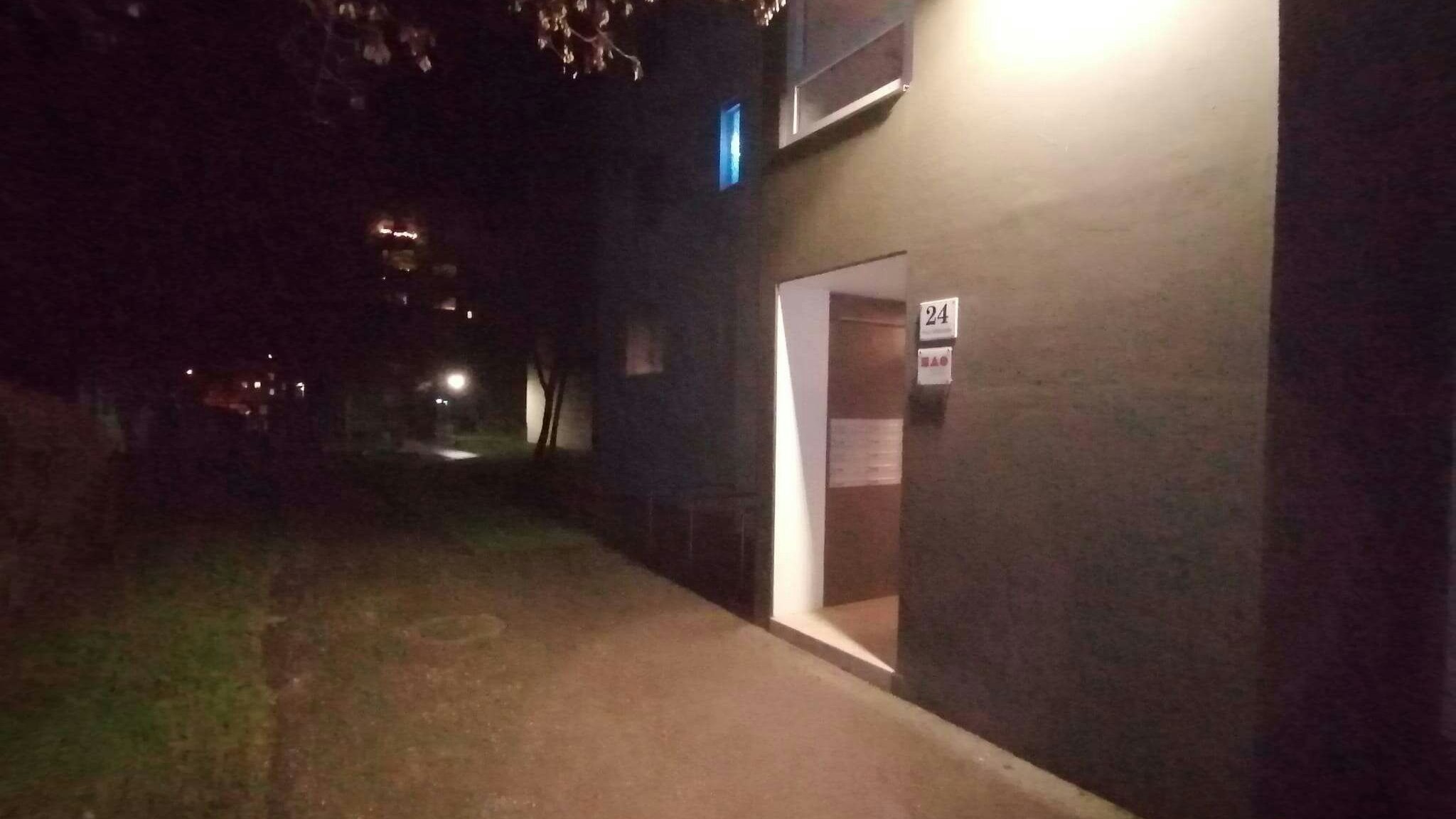 Der Angriff passierte auf Höhe Höhe Franz-Sebek-Straße 24 in Steyr.