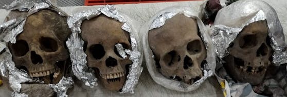 Diese vier Menschenschädel wurden am Flughafen Querétaro in Mexiko gefunden.