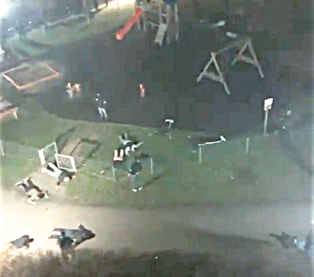 Nach den Pyroattacken auf Polizeibeamte in Floridsdorf sieht die FPÖ nun ein Totalversagen der SPÖ Migrationspolitik. 