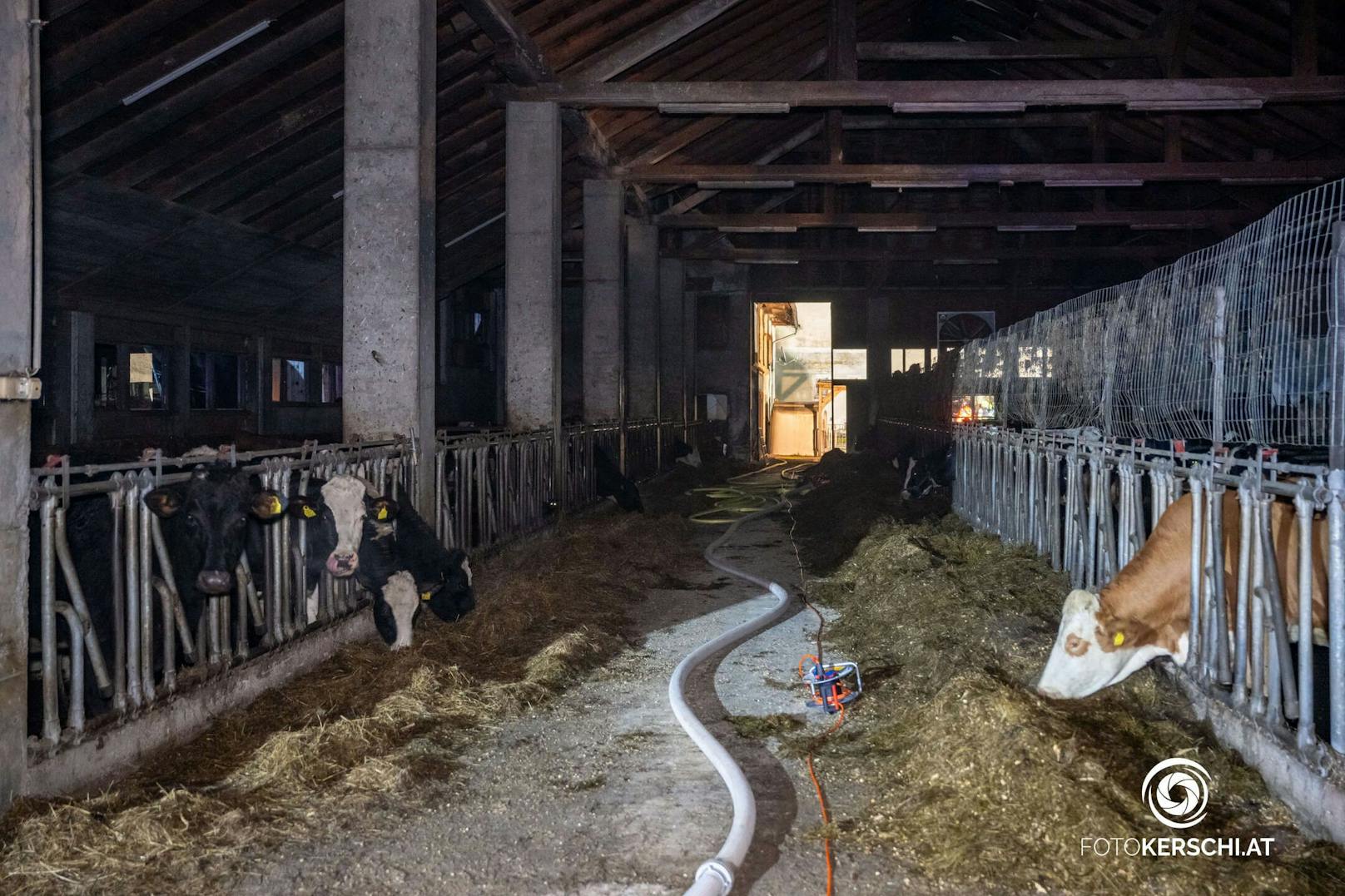 Zwölf Feuerwehren stehen derzeit in Reichraming im Bezirk Steyr-Land beim Brand eines Wohngebäudes im Einsatz.