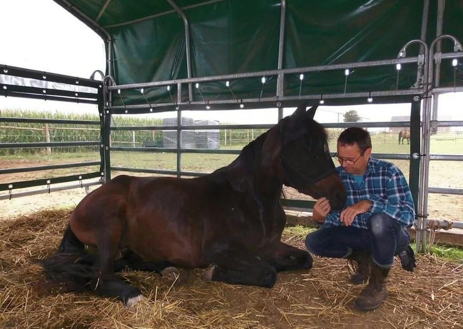 Tierarzt Wolfgang Babinek: Sein Pferd wurde wegen der Knallerei verletzt, aber er wurde wegen Sachbeschädigung und Nötigung angezeigt.&nbsp;