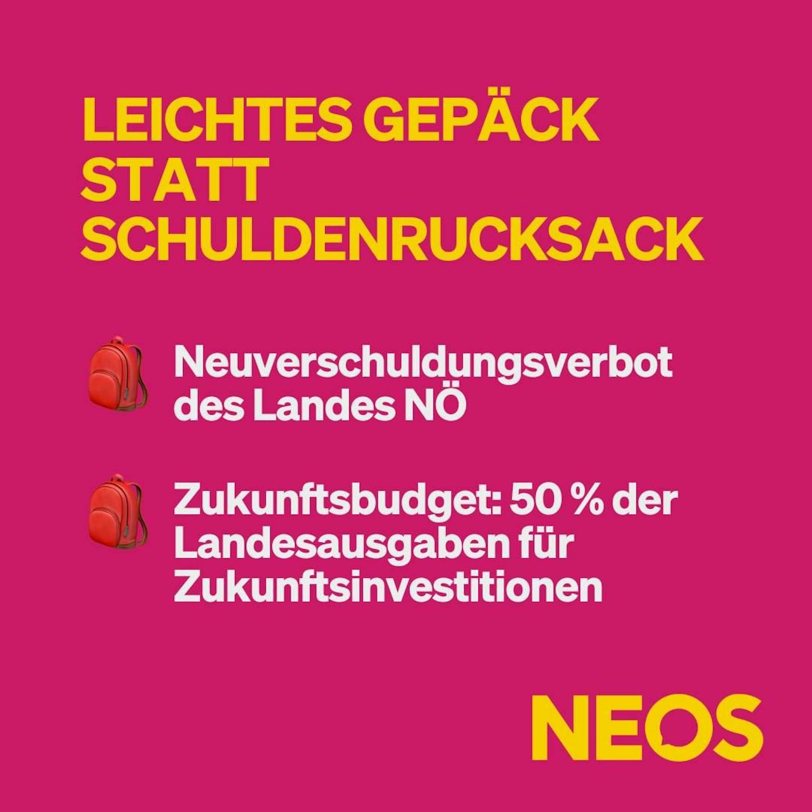 Die NEOS wollen einen Jugendrat im Landtag.