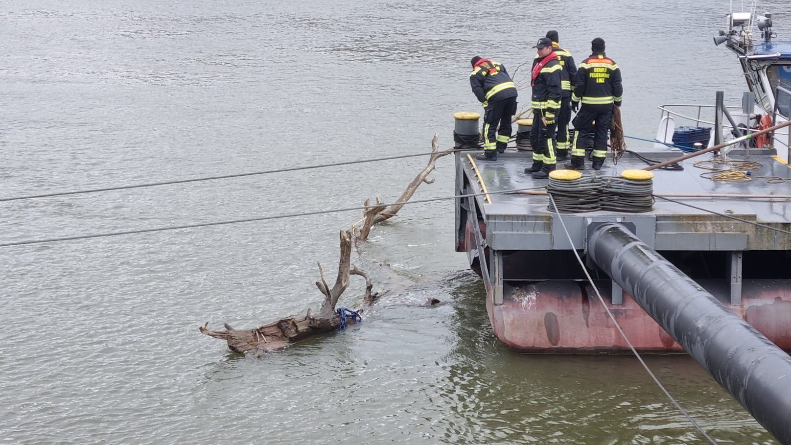 Die Feuerwehr musste diesen Baum aus der Donau bergen.