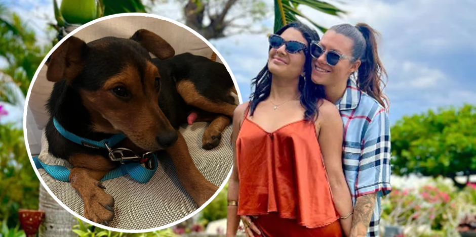 Das Traumpaar rettete Hund Lychee