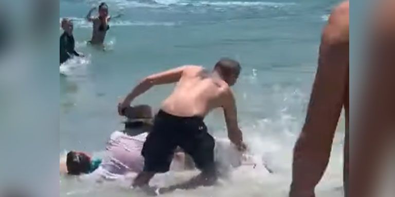 Das Robbenbaby attackierte mehrere Badegäste.