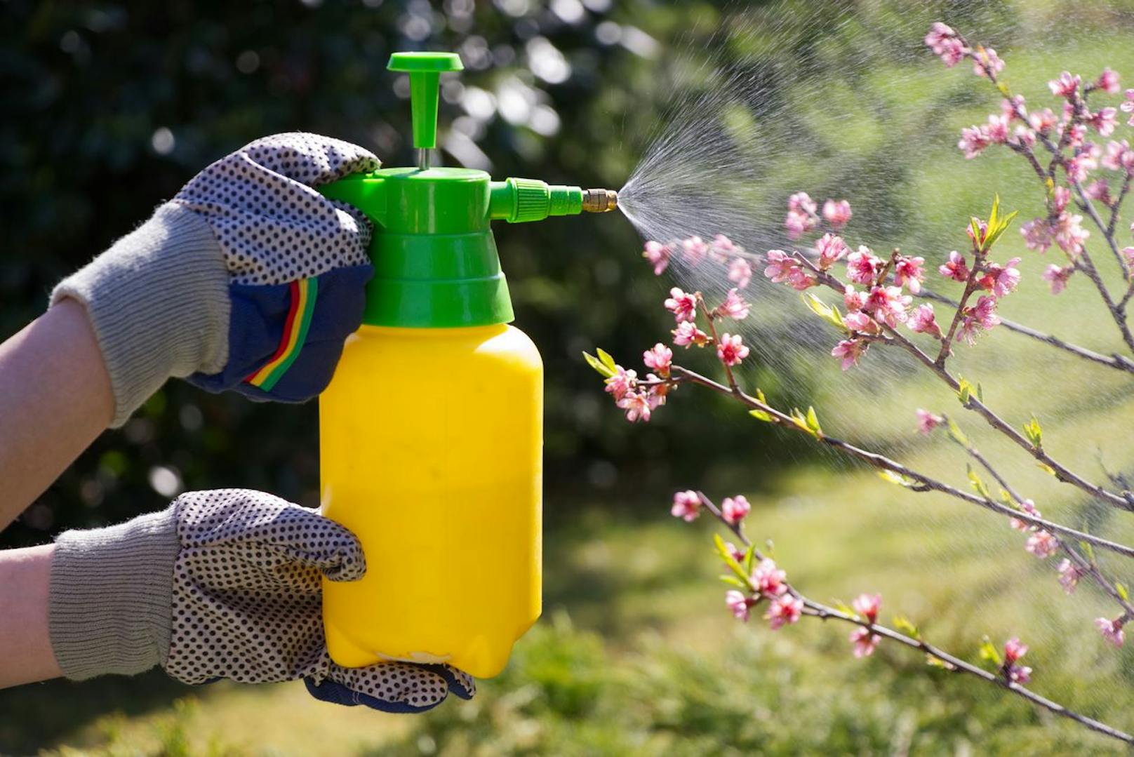 <strong>3. Pflanzenschutzmittel etc.:</strong> Auch die Chemikalien in Pflanzenschutz- und Düngemitteln stellen eine Gefahr für Grund- und Trinkwasser dar, wenn sie nicht fachgerecht entsorgt werden. Die Stoffe dürfen weder in den Abfluss, noch in den Restmüll.
