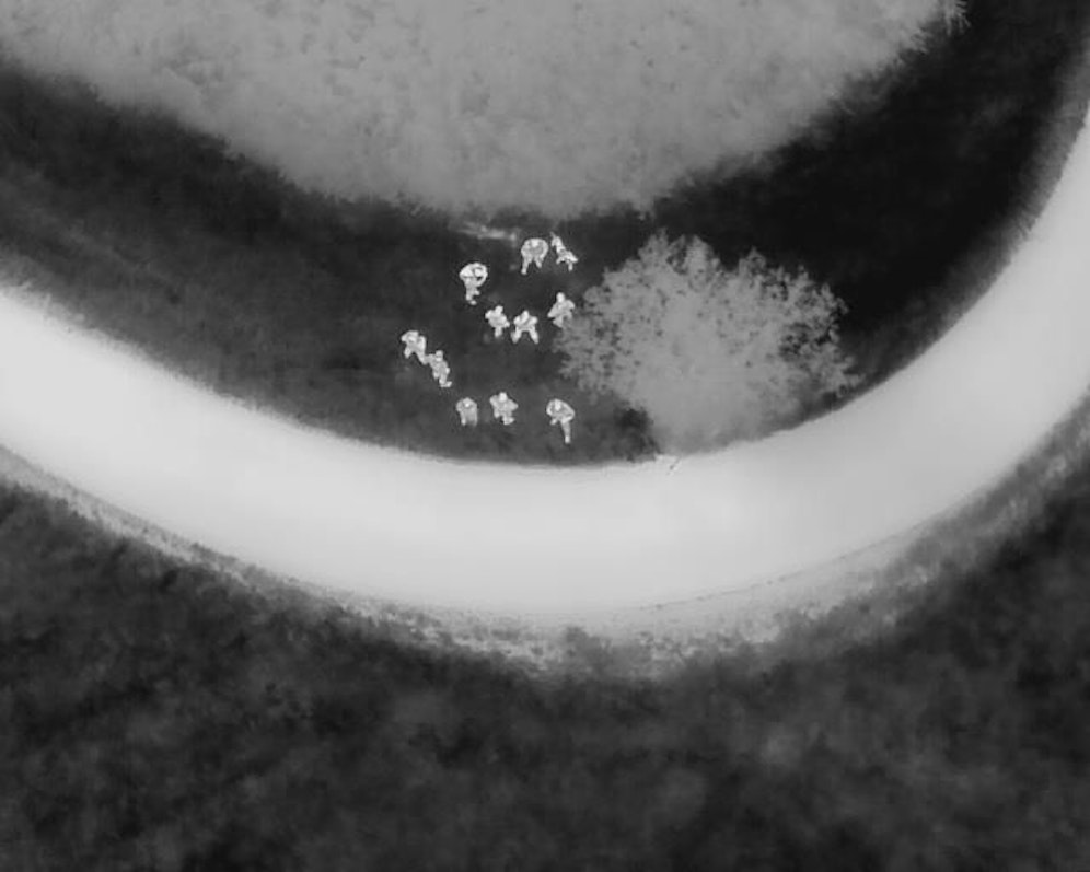  Mittels einer Wärmebilddrohne wurde der vermisste Teenager gefunden.