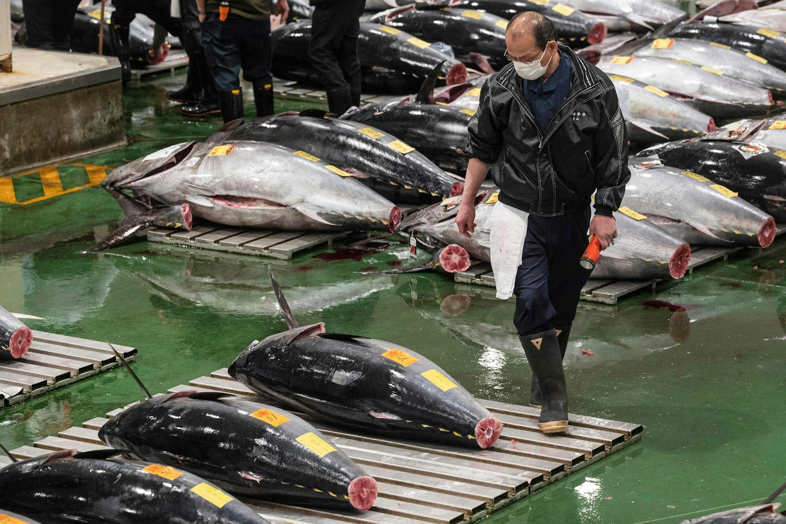 Auktionäre versammeln sich zur traditionellen Neujahrs-Auktion auf dem Fischmarkt in Tokio.