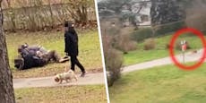 Hundekampf gerät außer Kontrolle – Pitbull beißt Wiener