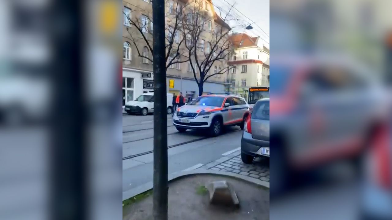 Obwohl der Buslenker die Notbremse betätigte, konnte er den Unfall nicht verhindern. 