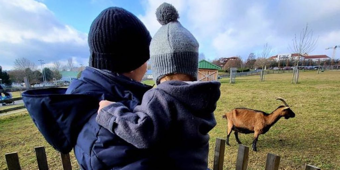 Sebastian Kurz und Sohn Konstantin  erfreuten sich an den burgenländischen Ziegen.
