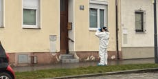 Mutter in Wien erstochen – Mann des Opfers auf freiem Fuß