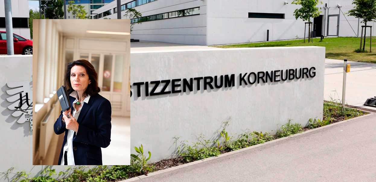 Astrid Wagner vertritt den 29-Jährigen vor Gericht in Korneuburg.