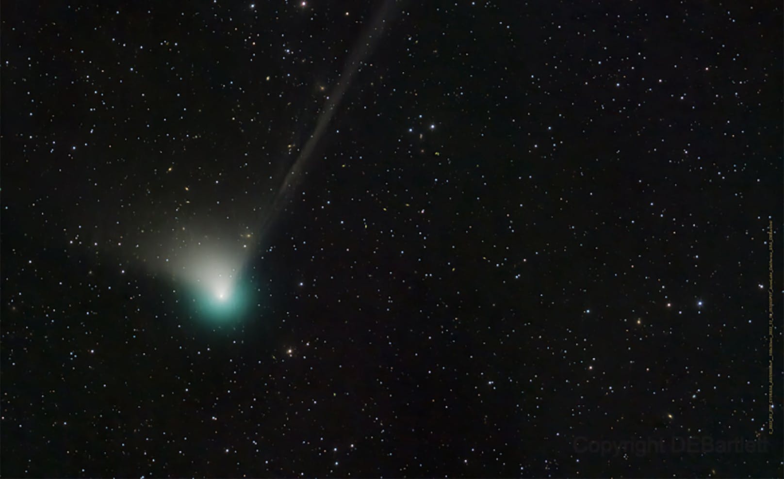 Diese schöne Teleskopaufnahme vom 19. Dezember zeigt die grünliche Koma des Kometen, einen kurzen breiten Staubschweif und einen langen schwachen Ionenschweif.