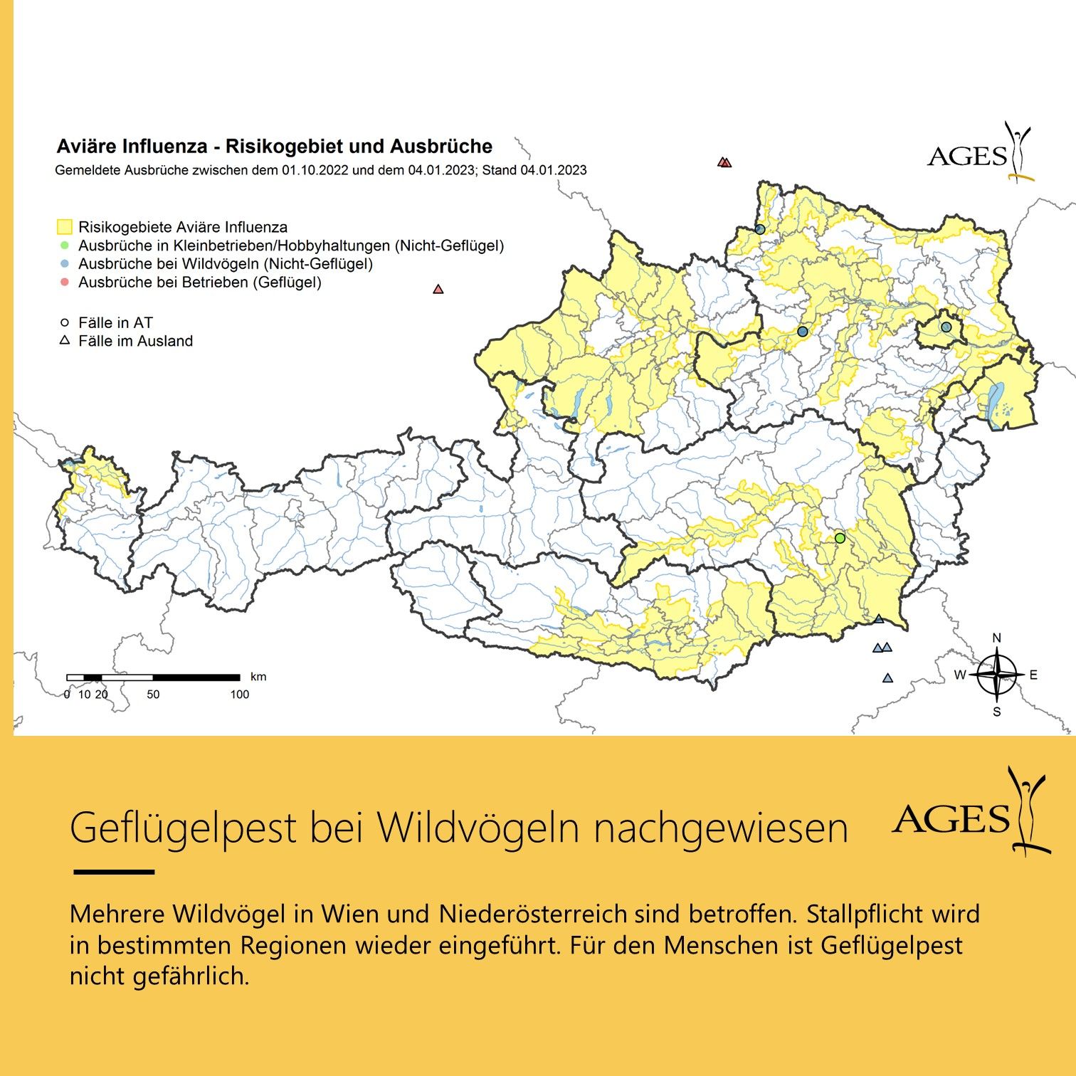 In mehreren Gebieten konnte die Geflügelpest bei Wildvögeln nachgewiesen werden. 
