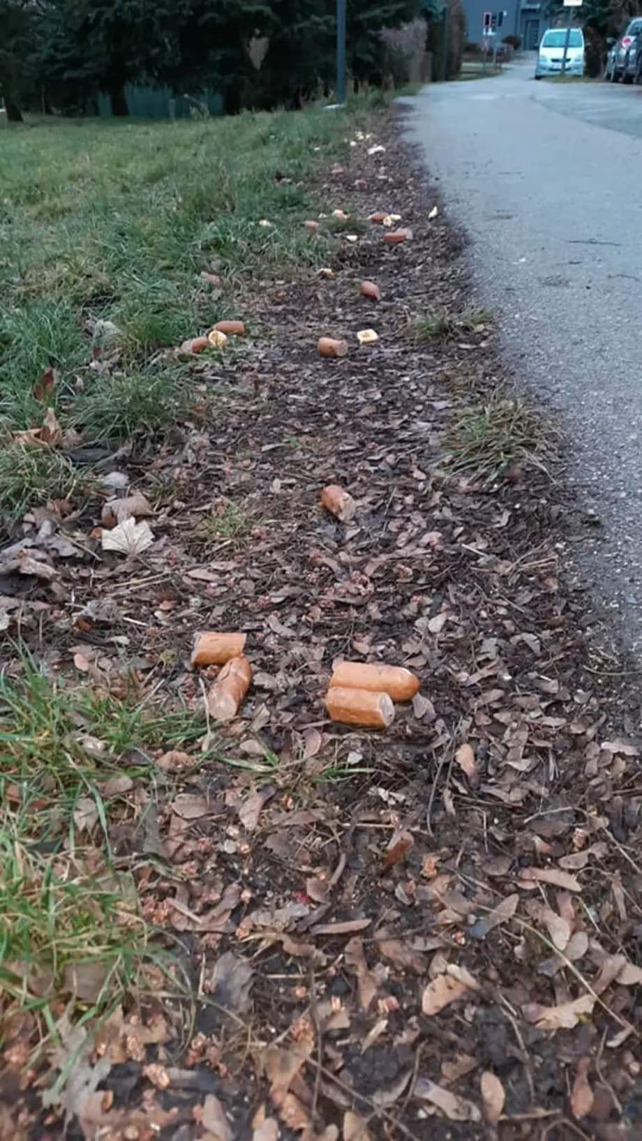 Auf dem gesamten Weg entlang wurden Frankfurter verstreut.