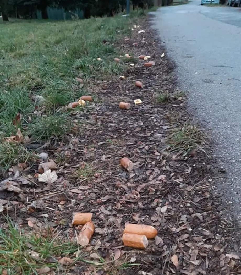 Auf dem gesamten Weg entlang wurden Frankfurter verstreut.