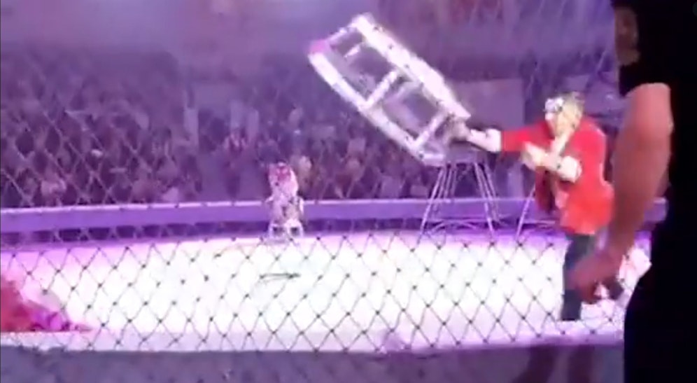 Vor den Augen der Zuseher gerieten zwei Tiger in der Manege außer Kontrolle.