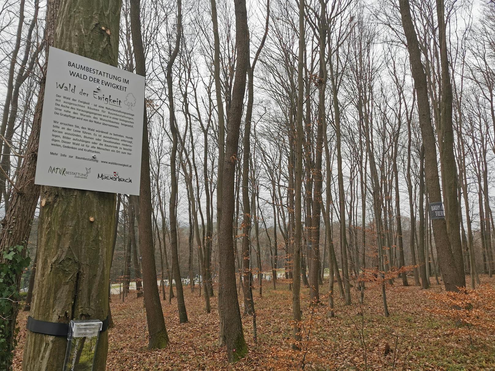Am 1. Dezember 2022 hat die Naturbestattung Zadrobilek einen neuen "Wald der Ewigkeit" in Mauerbach in Betrieb genommen.