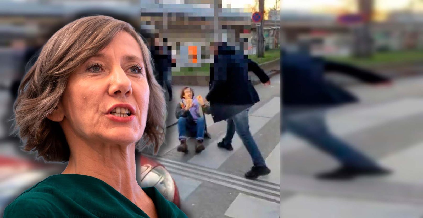 Ex-Grünen-Chefin fährt mit Kritik an Wiener Polizei ein