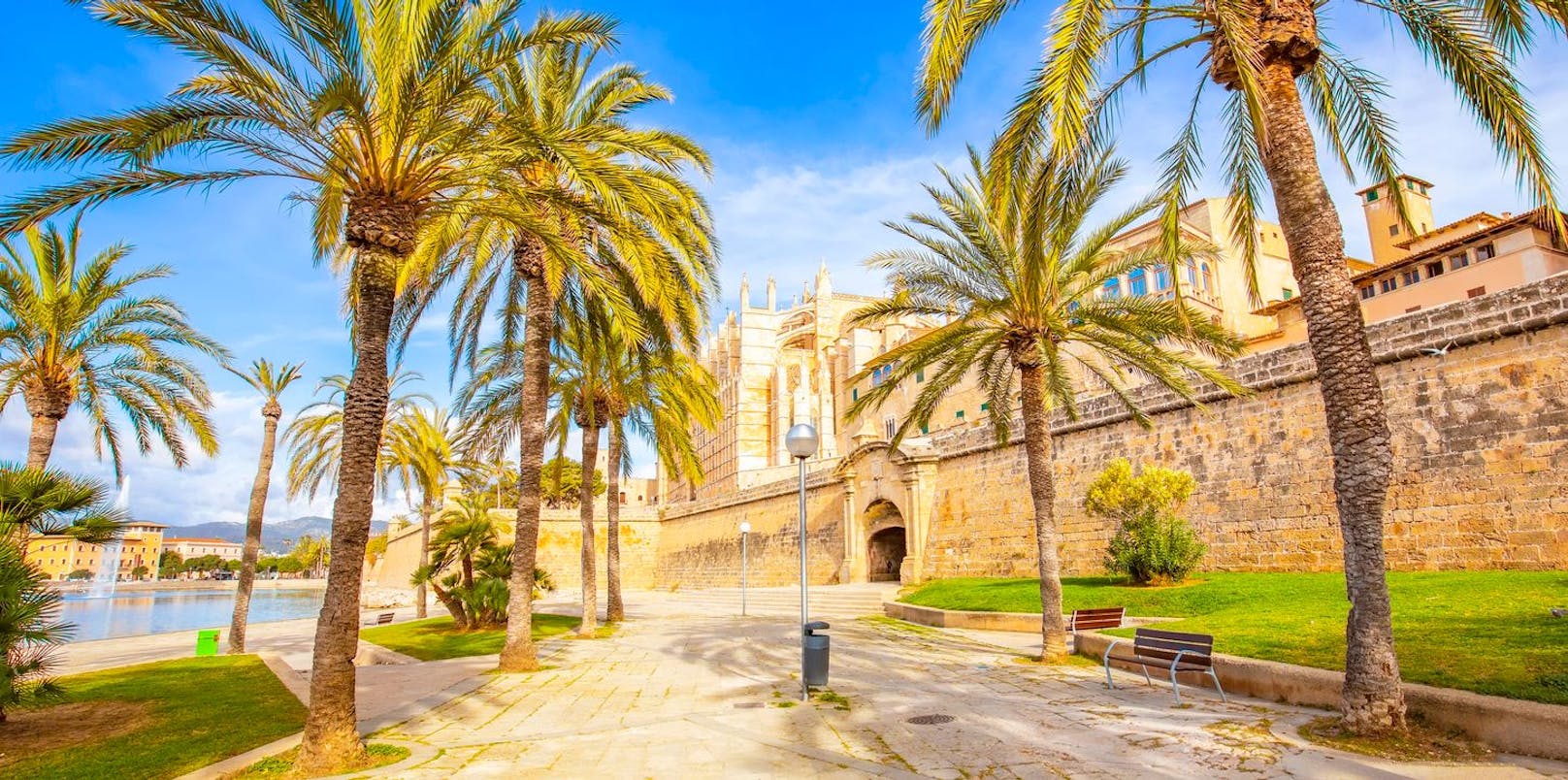 Die wunderschöne Palma de Mallorca Kathedrale.