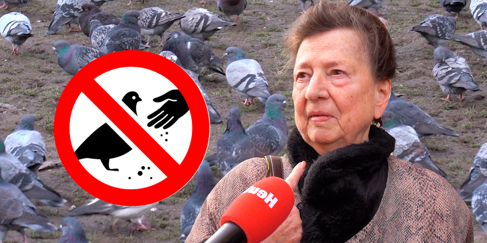 Frau Edith reicht es mit den Tauben am Keplerplatz.