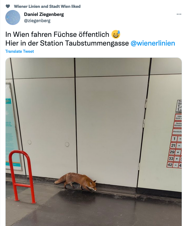 Ein seltener Gast in der Wiener Taubstummengasse!