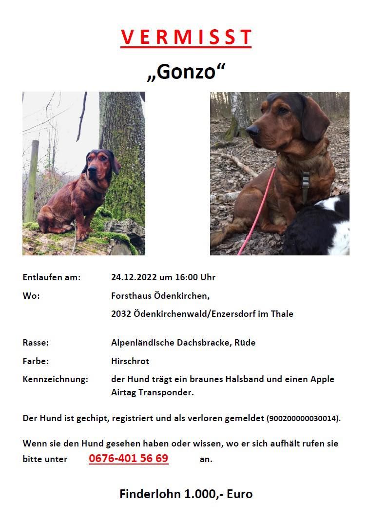 Wolfgang Rauscher bietet 1.000 Euro Finderlohn für seinen "Gonzo".