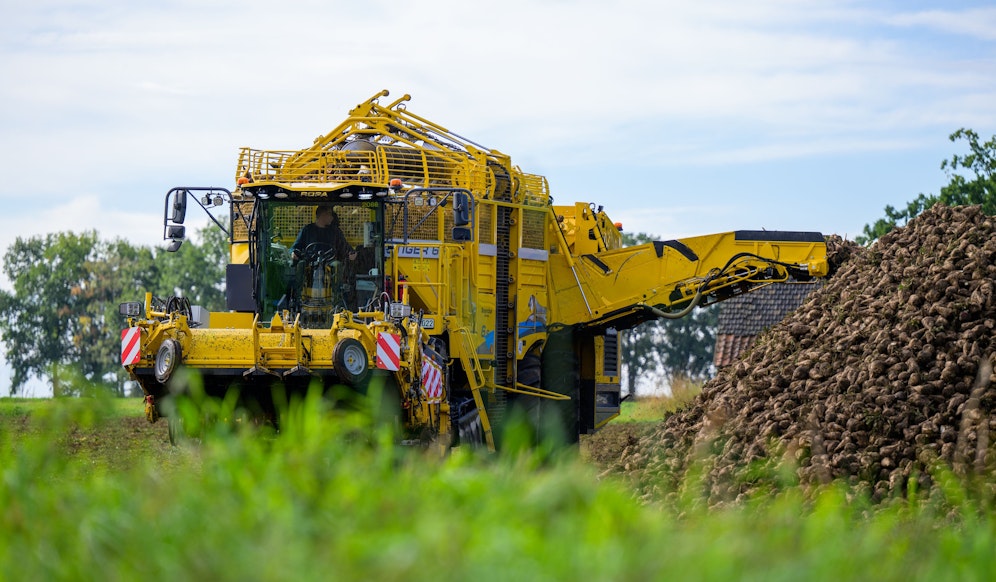 Global 2000 hat im Herbst Bodenproben in Zuckerrübenanbaugebieten in Niederösterreich gezogen und Neonicotinoide am Feld nachgewiesen.