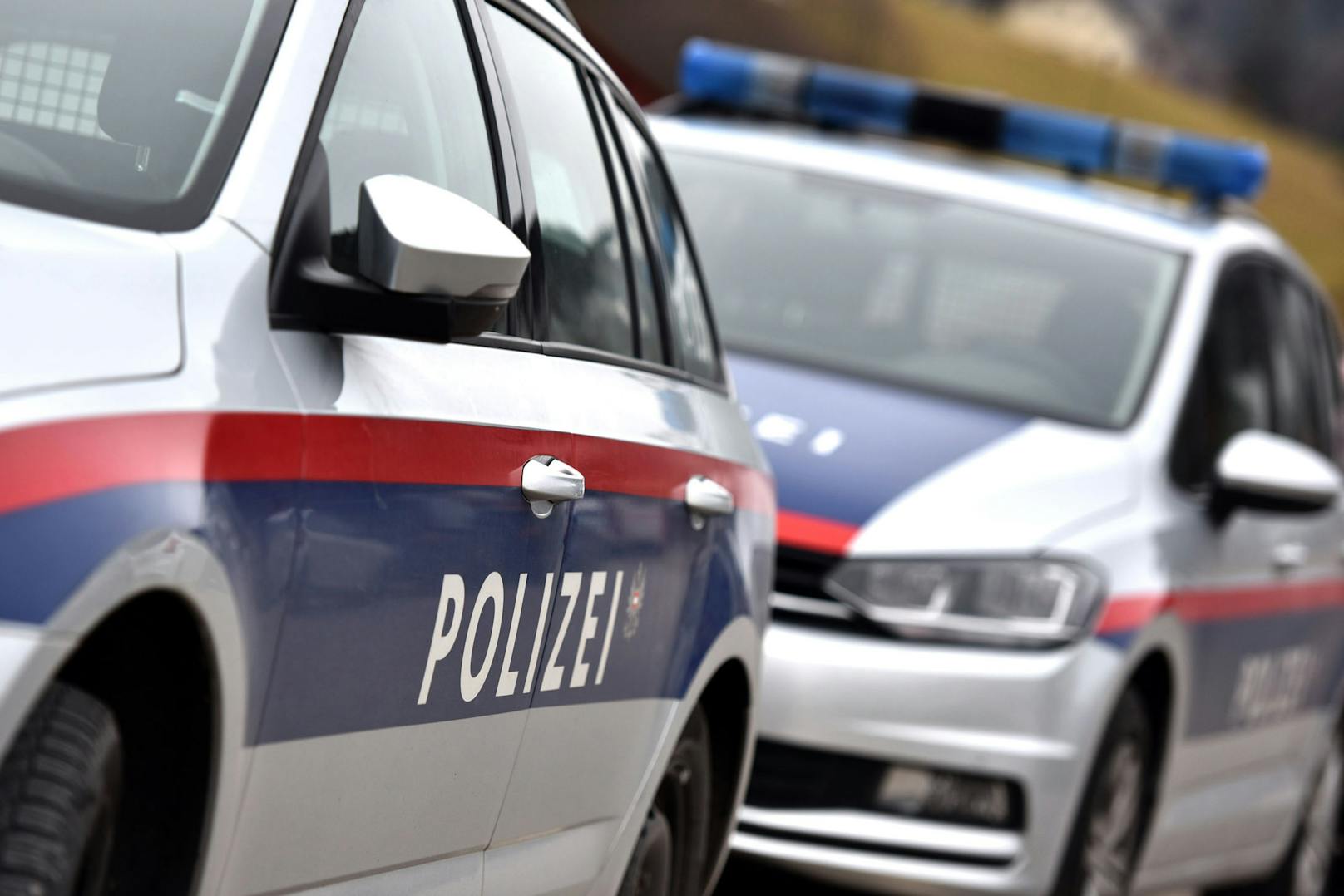 Zwei Polizeistreifen im Tiroler Oberland&nbsp;erlebten&nbsp;einen ereignisreichen Freitagabend.