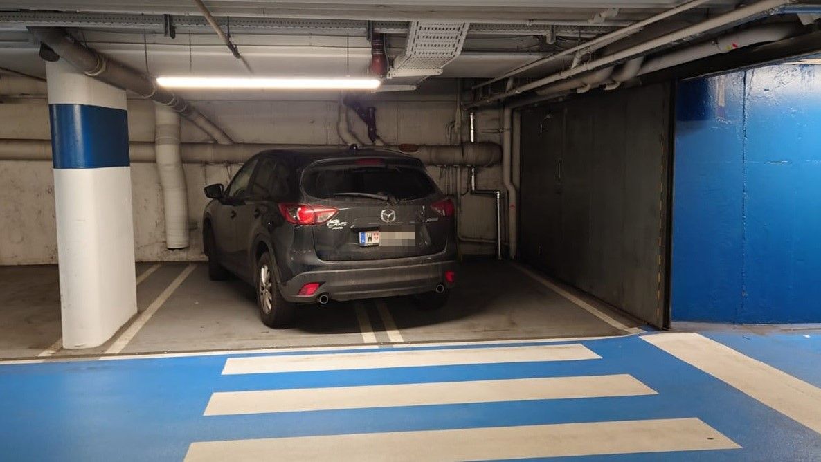 "Geht ums Prinzip!" – Wut-Wienerin rügt Falschparker