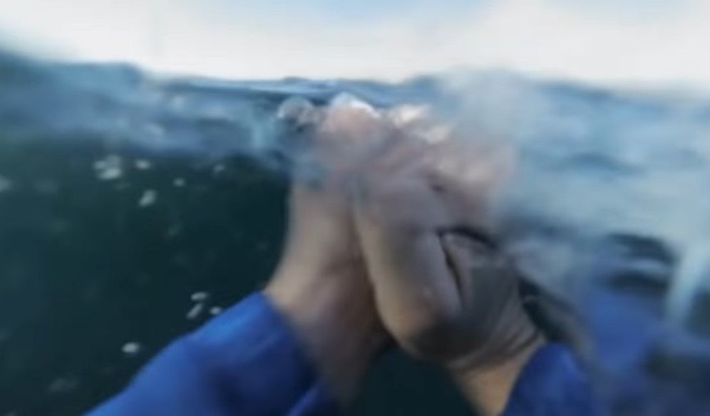 Egal, wie gut man schwimmen kann – irgendwann gibt der Körper auf.