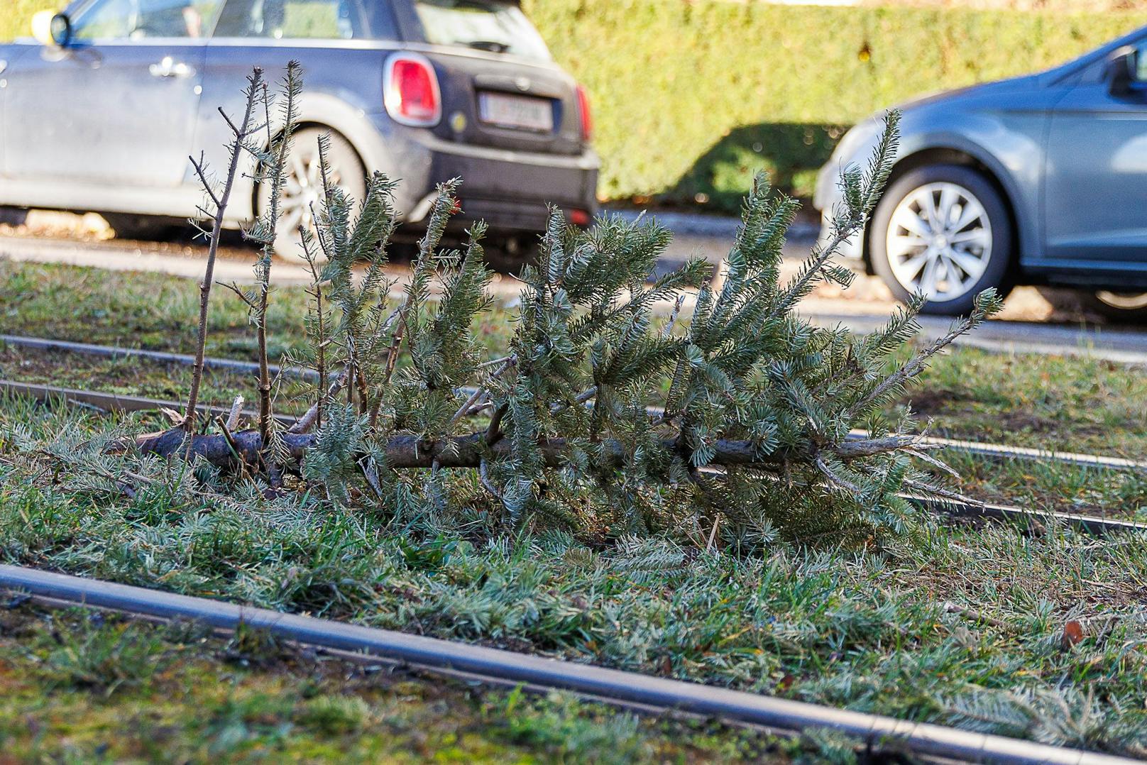 In Linz wurde ein Christbaum von Unbekannten einfach auf den Straßenbahngleisen entsorgt. Mittlerweile wurde der Baum weggeräumt.