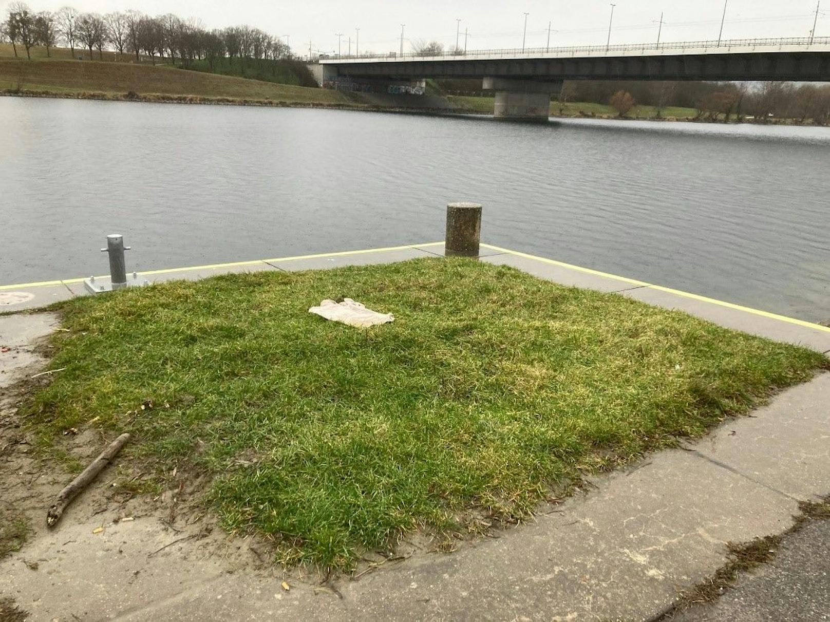 Eine Frau verständigte die Polizei, da sie am linken Ufer der Neuen Donau stromabwärts im Bereich der Floridsdorfer Brücke eine vermutlich menschliche Plazenta samt Nabelschnur an der Wassergrenze fand.