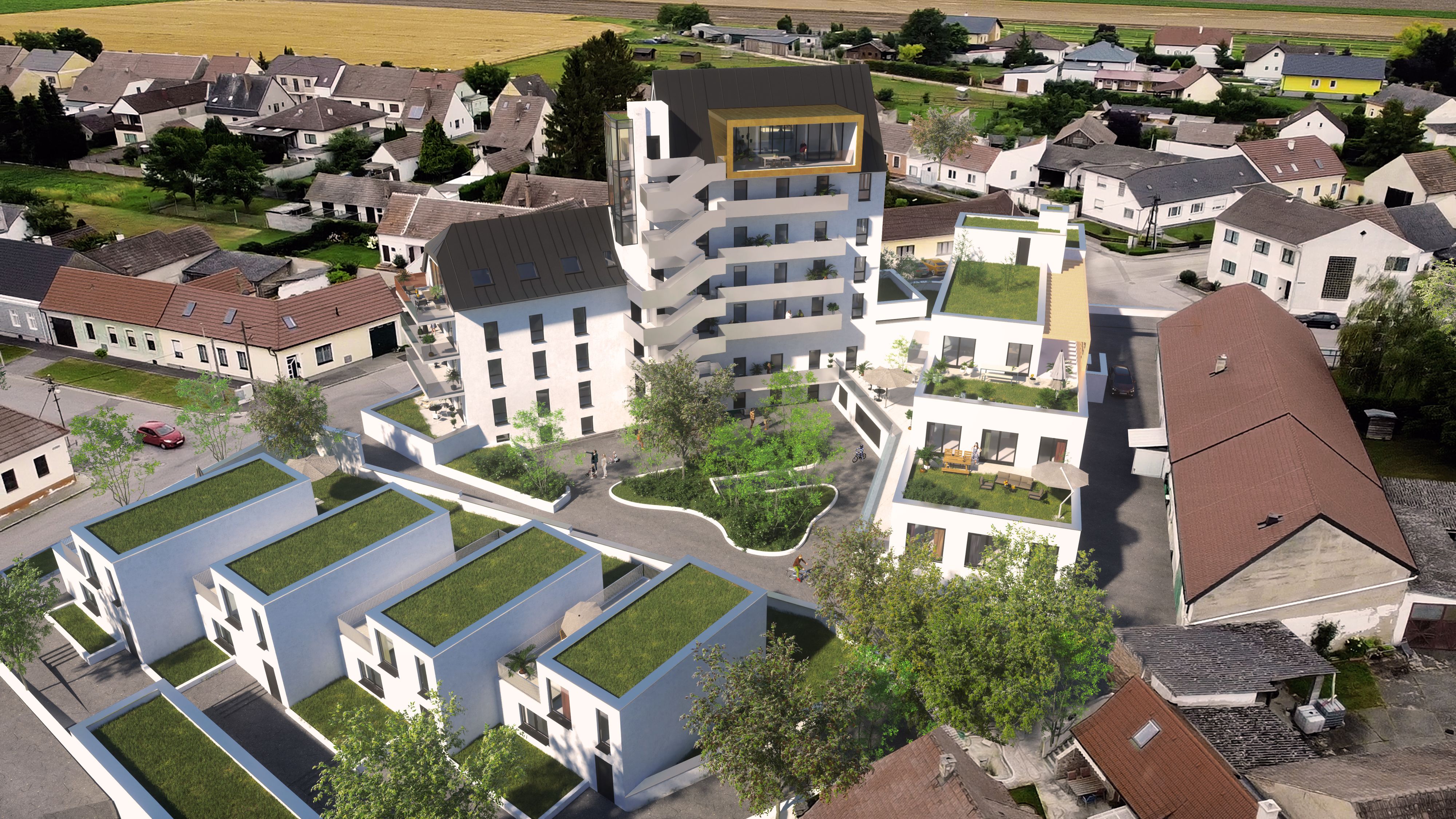 © Janusch - the visual collective | http://www.janusch.co 