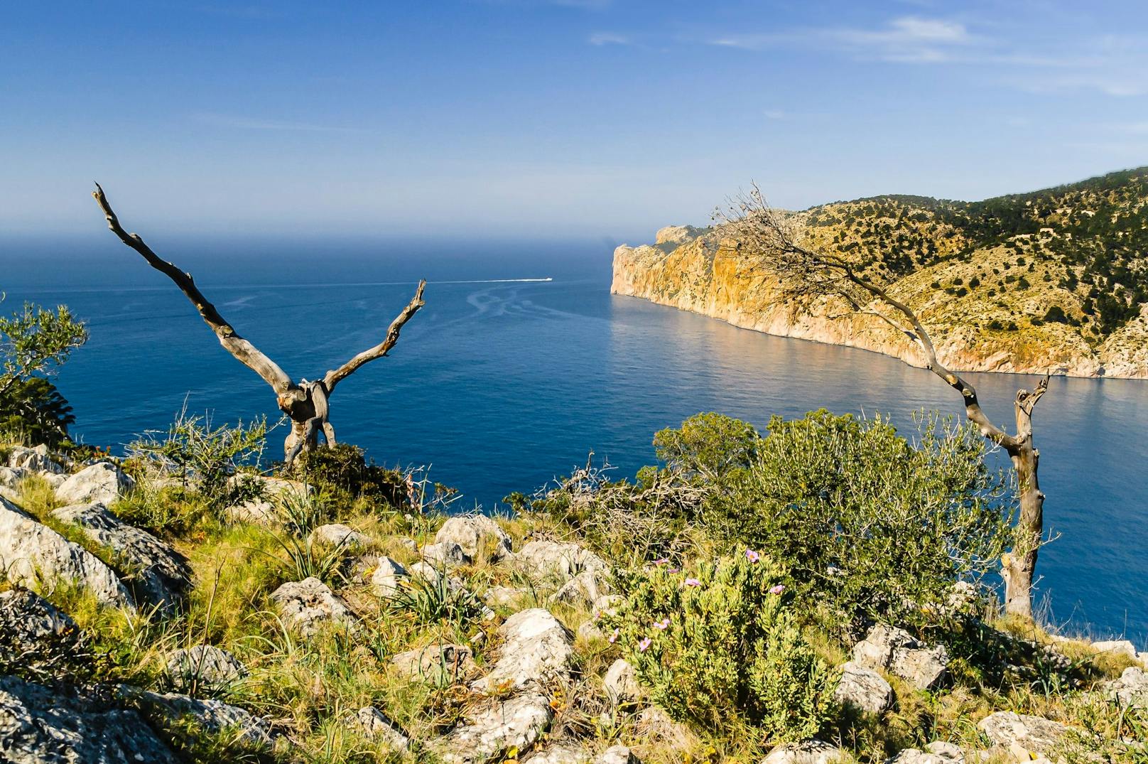 Die&nbsp; Wildnis von Mallorca ist immer eine Reise wert. Kombinieren kann man den Ausflug mit einem Lunch im Campino.&nbsp;