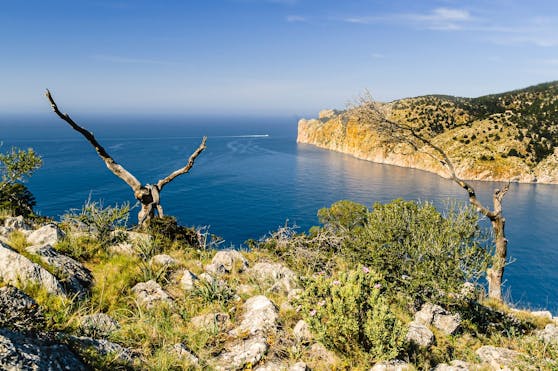 Die&nbsp; Wildnis von Mallorca ist immer eine Reise wert. Kombinieren kann man den Ausflug mit einem Lunch im Campino.&nbsp;