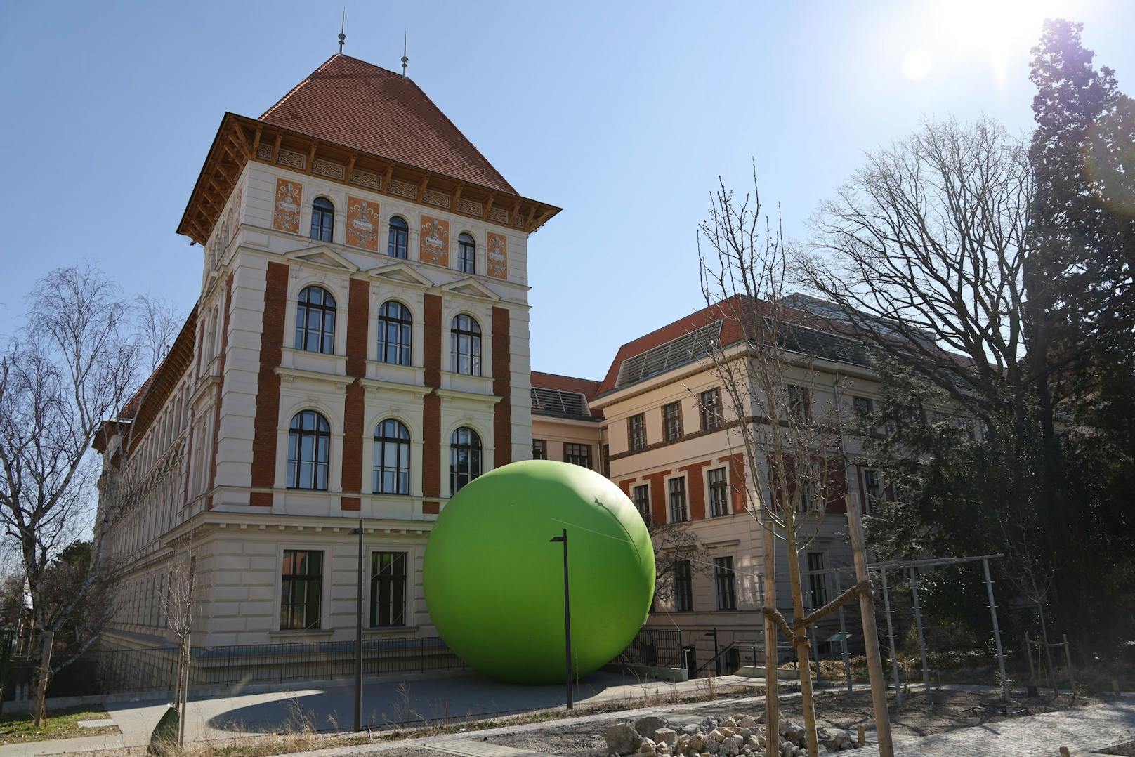 Die Riesenerbse war bereits einmal zu Besuch in Wien, hier auf der BOKU. Beim Ball wird sie den Arkadenhof im Rathaus schmücken.