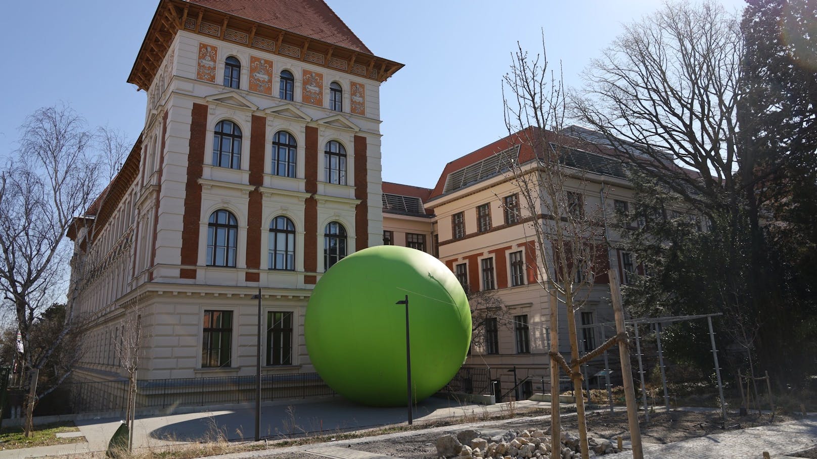 Die sieben Meter große Riesenerbse (hier vor der BOKU) ist am Ballabend im Arkadenhof im Rathaus zu finden.